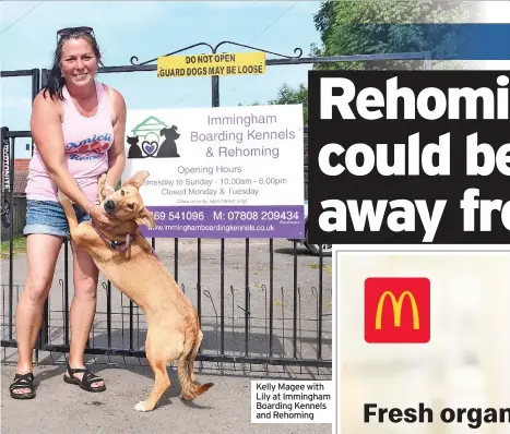  ?? ?? Kelly Magee with Lily at Immingham Boarding Kennels and Rehoming