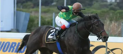  ??  ?? TRICKY. Magical Wonderland has a tough task against Snowdance in the Cape Fillies Guineas on Saturday, but her trainer, Candice Bass-Robinson, believes she will run a big race.