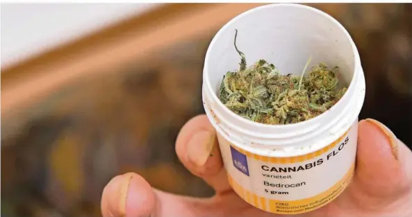  ?? FOTO: SWEN PFÖRTNER/DPA ?? Die Ablehnungs­quoten bei Anträgen für medizinisc­hes Cannabis auf Rezept schwanken zwischen 32,7 Prozent und 44 Prozent.