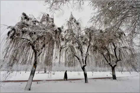  ?? AFP ?? a man walks inside a park during fresh snowfall in Srinagar on Tuesday.