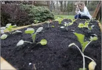  ?? STEVE HELBER — THE ASSOCIATED PRESS ?? Stephanie Owens looks over the garden with her son Cole as they tend to it at their home in Glen Allen, Va. Owens is a pharmacist who has had to continue to go to work, but has been able to spend more time with her kids because they are home from school. One of the activities they have done is planting the garden.