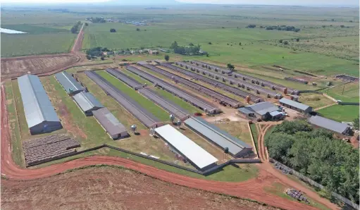  ??  ?? ABOVE: Taaibosch Piggery in Fochville has a 2 200-commercial sow breeding and nursery unit, a weaning unit and a growing and finishing unit.