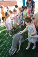  ?? Nikolas Samuels /The Signal ?? Children pet a kangaroo during an animal show put on by Animal Tracks Inc. at Congregati­on Beth Shalom Preschool in Canyon Country on Wednesday.