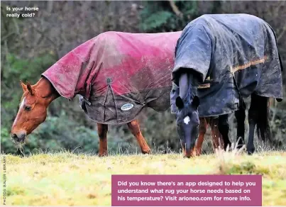  ??  ?? Did you know there’s an app designed to help you understand what rug your horse needs based on his temperatur­e? Visit arioneo.com for more info.