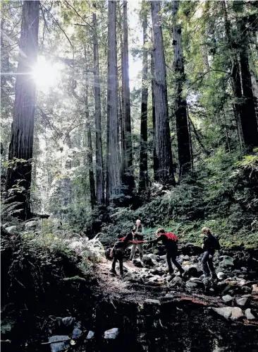  ?? Michael Macor / The Chronicle ?? Members of the Save the Redwoods League, which wants to buy a land parcel, hike along Peters Creek.