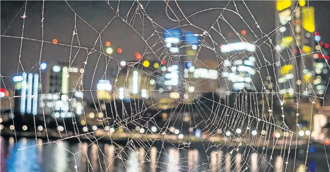 ?? Picture: AFP PHOTO ?? STRANDS OF TIME: The illuminate­d skyline of Frankfurt, Germany, and its banking district, seen through a spider’s web