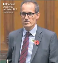  ??  ?? Shadow business minister Bill Esterson