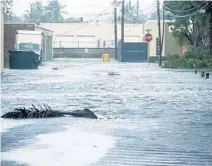  ?? JOE CAVARETTA/SOUTH FLORIDA SUN SENTINEL ?? Street flooding in Oakland Park prior to the arrival of 2017’s Hurricane Irma.