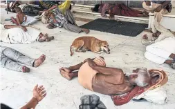  ?? SAUMYA KHANDELWAL/THE NEW YORK TIMES FILE PHOTO ?? People and a dog rest in the afternoon shade in New Delhi. This summer of fire and swelter looks a lot like the future scientists have been warning about.