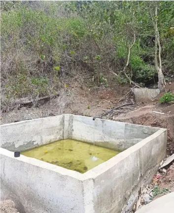  ??  ?? The dammed-up natural spring (background), which leads to a larger containmen­t pond that is connected to the gravity-fed water system in Kampung Mempakad Darat.