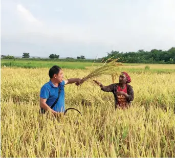  ??  ?? He Changyong and a Mozambican farmer take pre-harvest samples from the trial field