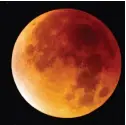  ?? GETTY IMAGES ?? Total lunar eclipses often turn the moon a shade of red as sunlight is refracted by earth’s dust-filled atmosphere.