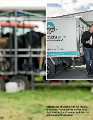  ??  ?? Glen Herud at Ohoka with his mobile milk shed. Herud leaves calves with their mother for 15 weeks which is the natural weaning period.