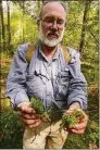  ?? John Pirro / Contribute­d photo ?? Bill Moorhead, a botanist and ecologist with the state Department of Energy and Environmen­tal Protection, holds up two different species of sphagnum moss at the black spruce bog at Mohawk State Forest in Cornwall. The 19-acre peat bog supports a colony of plants that are rare in the state.