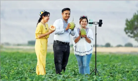  ?? PHOTOS BY DING LEI / XINHUA ?? Abdula Umur (center) sells hami melons via a livestream with colleagues at a farm in Turpan, Xinjiang Uygur autonomous region, in May last year.