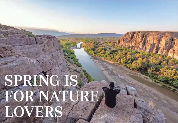  ?? TRAVEL TEXAS ?? Big Bend National Park in Texas has more than 1,200 species of plants, almost 500 species of birds and very few people in 800,000-plus acres.