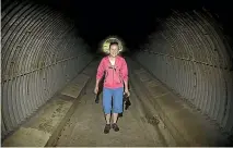  ??  ?? A tunnel adds a touch of fun to any walkway.