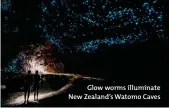  ??  ?? Glow worms illuminate New Zealand’s Watomo Caves