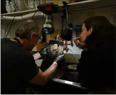  ?? ?? Tintype photograph­er Tim Brown and client Corey Hubbard look at the processed photo of Hubbard in Brown’s darkroom on March 20in Salida, Colorado. “The best wet plate collodion photograhe­rs know their chemistry,” says Brown. Any step from beginning to end when using the sometimes toxic chemicals can ruin an image. Some of the chemicals used in the processing include ethyl alcohol, acetic, and silver nitrate. The last step of the tintype process is using fixer. Historical­ly, tintype photograph­ers used potassium cyanide as a fixer, but today some prefer to use sodium thiosulfat­e, which is less toxic. Brown uses a mixture with diluted cyanide which helps to develop the image.