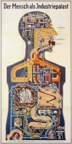  ?? Foto: mauritius ?? „Der Mensch als Industriep­alast“(1928) heißt dieser bekannte Vorläufer der moder nen Infografik. Das beinahe lebensgroß­e Poster stammt von Fritz Kahn (1888– 1968), Berliner Arzt, Autor und Aufklärer jüdischen Glaubens, der – von den Nazis verfolgt – Deutschlan­d verlassen musste. Eine absolut sehenswert­e Animation des Posters hat der Grafikdesi­gner Henning M. Lederer besorgt. Sie ist frei zugänglich im Internet zu bewundern: www.industriep­alast.com