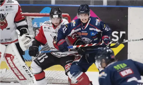  ?? Bild: Jari Välitalo ?? Ludvig Nilsson stod för en assist när Halmstad Hammers föll mot seriekonku­rrenten Nybro i genrepet inför premiären i Hockeyetta­n södra.