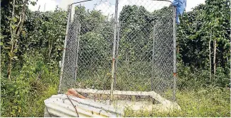  ?? MARK TITUS ?? This is considered a sacred ground by residents of Litchfield in south Trelawny.