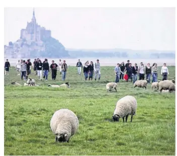  ?? (©Archives Écomusée de la Baie). ?? Fabriquer son sel, découvrir les prés-salés et tout connaître de la baie, c’est le programme proposé par l’Écomusée de Vains pendant les vacances d’hiver