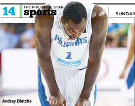  ??  ?? Andray Blatche