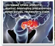  ??  ?? Increased intake protects against developing precancero­us colon polyps, researcher­s claim