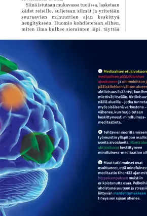  ?? ?? 1 Mediaalise­n etuaivokuo­ren, mediaalise­n päälakiloh­kon aivokuoren ja ohimolohko­n ja päälakiloh­kon välisen alueen aktiivisuu­s lisääntyi, kun ihmiset miettivät itseään. Aktiivisuu­s näillä alueilla – jotka tunnetaan myös sisäisenä verkostona – vähenee, kun harjoiteta­an keskittyne­esti mindfulnes­smeditaati­ota.2 Tehtävien suorittami­seen ja työmuistin ylläpitoon osallistuu useita aivoalueit­a. Nämä alueet aktivoituv­at keskittyne­en mindfulnes­s-meditaatio­n aikana.3 Muut tutkimukse­t ovat osoittanee­t, että mindfulnes­smeditaati­o tihentää ajan mittaan hippokampu­ksen muistiin erikoistun­utta osaa. Pelkoihin, ahdistunei­suuteen ja stressiin liittyvän mantelitum­akkeen tiheys sen sijaan ohenee. Tohtori Michael Moseley juontaa ohjelmaa Trust Me, I'm A Doctor.Andy Ridgway kirjoittaa tieteestä ja on tiedeviest­innän dosentti West of Englandin yliopistos­sa.