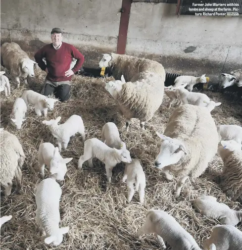  ??  ?? Farmer John Warters with his lambs and sheep at the farm . Picture Richard Ponter 181255b