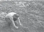  ?? JON BAKER/THE TIMES-REPORTER ?? Kyle Henry looks over damage done to a pasture on his Rush Township farm by an infestatio­n of army worms.