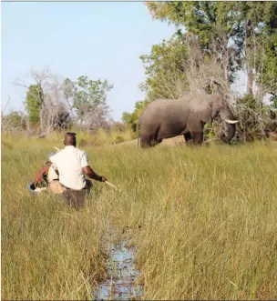  ?? ?? safaris are situated away from photograph­ic