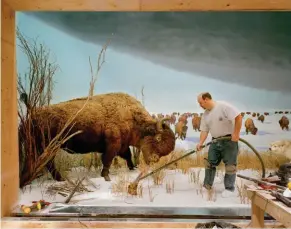  ??  ?? Mise en scène. « Man With Buffalo », de Richard Barnes (2007). L’artifice du diorama dévoilé dans une mise en abîme baroque.