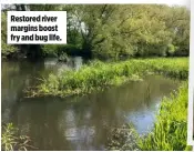  ?? ?? Restored river margins boost fry and bug life.