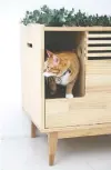  ?? TUFT + PAW ?? Tuft + Paw’s Rifiuti, is a piece of birch furniture that discreetly holds a litter box.