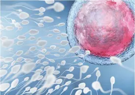  ?? FOTO: TT/TATIANA SHEPELEVA ?? I en enda sädesavgån­g kan det finnas hundratals miljoner spermier. En■ enda av dessa får äran att befrukta äggcellen, så att den biologiska processen för att skapa en helt ny individ kan börja.