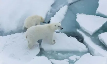  ?? Photograph: Alfred-Wegener-Institut/Stefan Hendricks/PA ?? The Arctic ice sheets are melting.