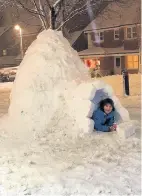  ??  ?? Igloo Zander Douglas in his garden on Skylands Rise, Hamilton