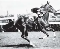  ?? PHOTO: STATE LIBRARY OF VICTORIA ?? All ours . . . New Zealand will have exclusive possession of the great Phar Lap under the ‘‘Towards a TransTasma­n Treaty’’.