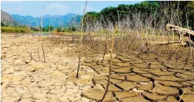  ?? SHUTTERSTO­CK ?? Imagen de un terreno deforestad­o, que pone en evidencia el cambio climático.