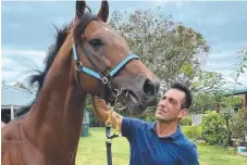  ?? ?? Beaudesert trainer Rui Severino with horse All Too Huiying