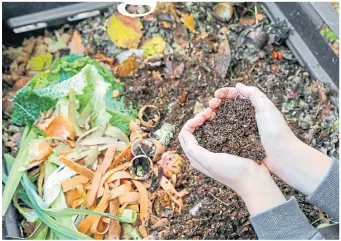  ??  ?? ● Throw in vegetable peelings along with your mixed-up brown and green waste