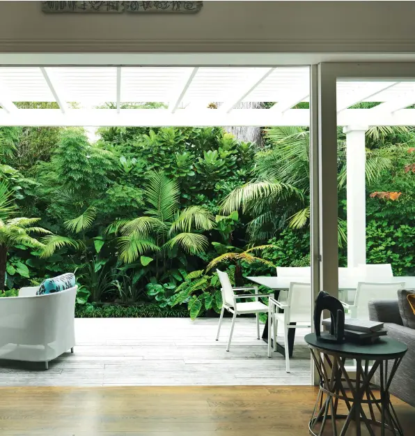  ??  ?? ABOVE Viewed from the living area, the waving wall of foliage resembles a painting, with fronds of Kentia palms (Howea forsterian­a) softening the mix, framed between two pots of ponga; the back deck serves as a well-used additional living and dining area, with furniture from Poynters.