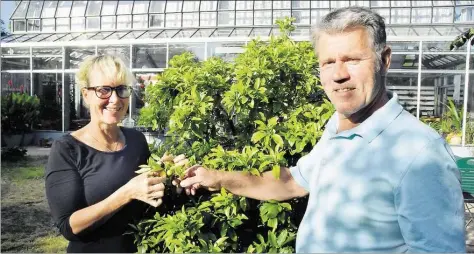  ?? BILD: KARSTEN KOLLOGE ?? Nehmen die Besucher mit auf ihre „grüne Insel“voller Pflanzen: Heike und Frits Deemter vor der Orangerie