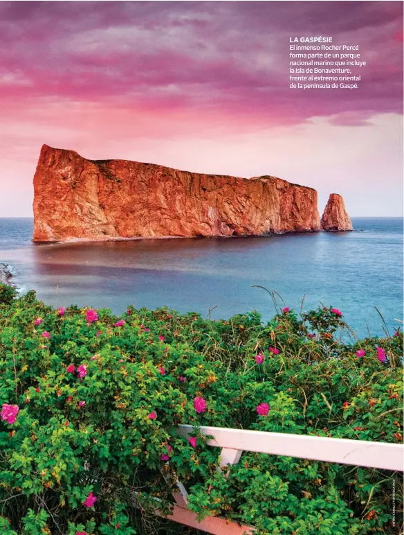  ??  ?? LA GASPÉSIE
El inmenso Rocher Percé forma parte de un parque nacional marino que incluye la isla de Bonaventur­e, frente al extremo oriental de la península de Gaspé.