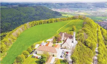  ?? FOTO: STEIDLE, HANSJÖRG ?? Die Situation des Spaichinge­r Stadtwalds war Thema im Gemeindera­t. Am Dreifaltig­keitsberg soll, so möglich, Wildwuchs beseitigt werden.