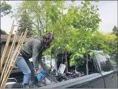  ?? CONTRIBUTE­D — DANIELLE BAXTER ?? Anna Isaacs, Butte Environmen­tal Council’s business manager, prepares a tree for planting in a collaborat­ion with the city of Chico coordinate­d inMay.