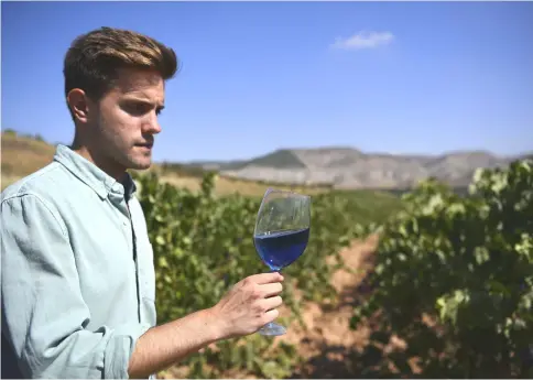  ??  ?? Co-founder of Spanish wine-making company ‘Gik’, Aritz Lopez, holds a glass of their blue wine ‘Gik Life’ at the company’s winery in Maluenda, Aragon region. — AFP photo