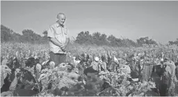  ??  ?? Frank Reese, Good Shephard Poultry Ranch owner, looks at his turkeys in the agricultur­e documentar­y “Eating Animals.”